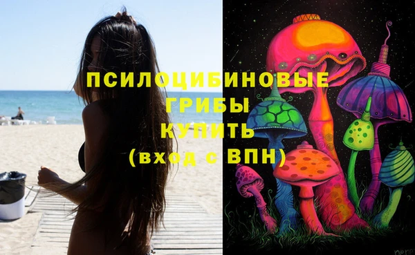 стаф Богородицк