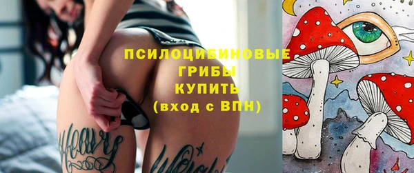 стаф Богородицк